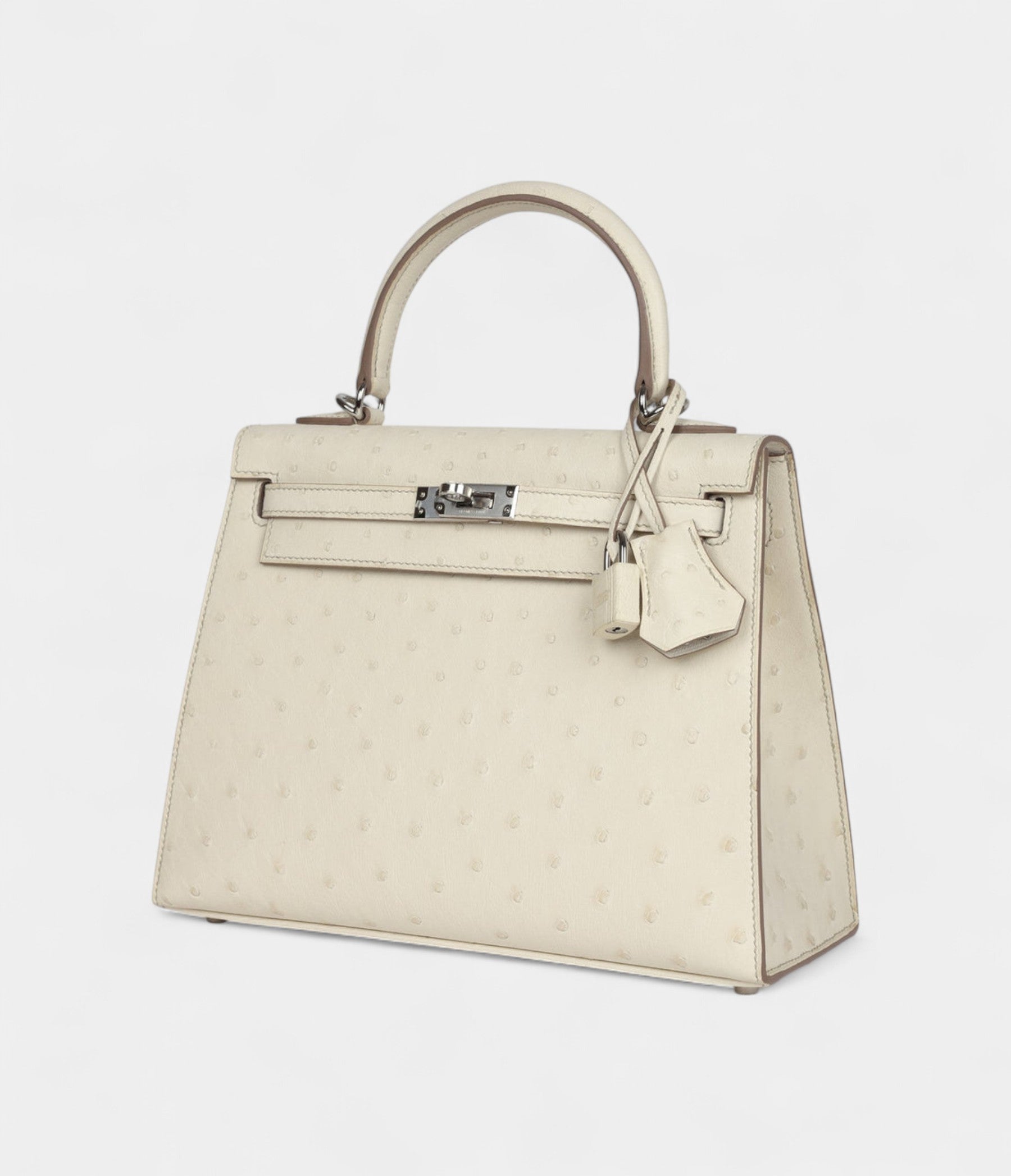 Hermes Kelly 25 Beton Ostrich Palladium Hardware