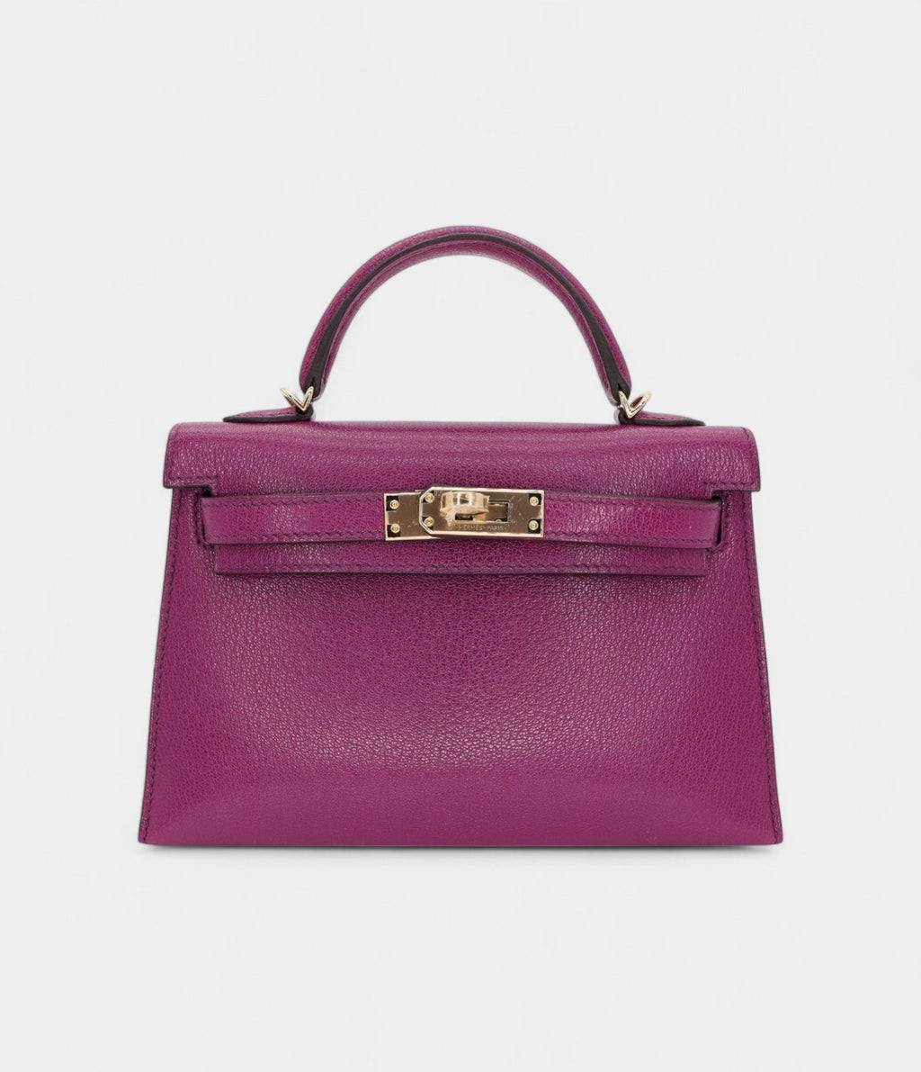 HMKelly II Sellier Mini Anemone Chèvre Leather Gold Hardware