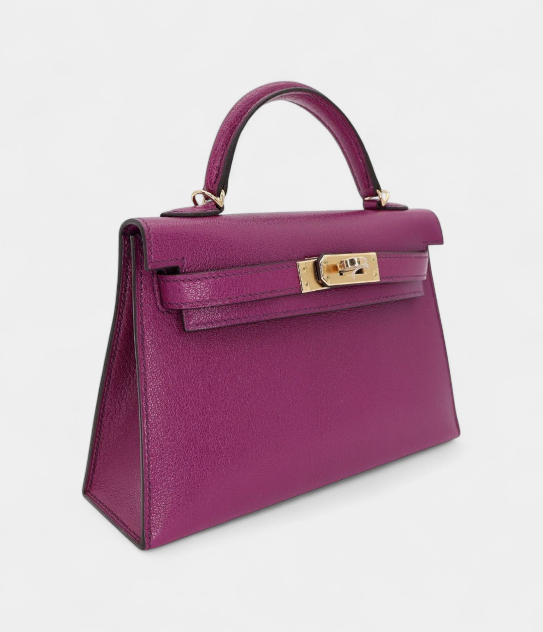 HMKelly II Sellier Mini Anemone Chèvre Leather Gold Hardware