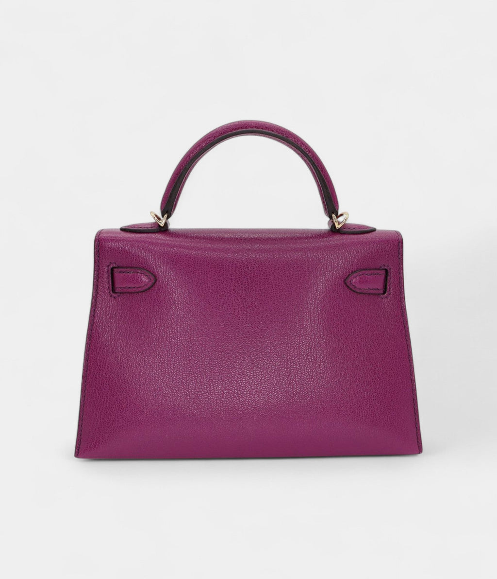 HMKelly II Sellier Mini Anemone Chèvre Leather Gold Hardware