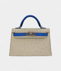 HMKelly II Sellier Mini Beton/Bluette Ostrich Palladium Hardware