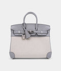 Hermes Limited Edition Glacier Blue Swift and Ecru Canvas BK 25 Palladium Hardware
