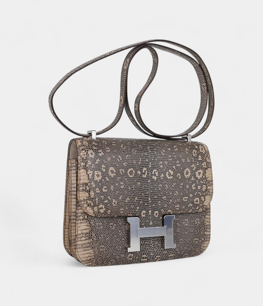 Hermes Limited Edition Mini Constance 18 Desert Lizard Palladium Hardware