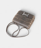 Hermes Limited Edition Mini Constance 18 Desert Lizard Palladium Hardware