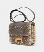 HMMini Constance 18 Ombre Lizard Varanus Salvator Gold Hardware