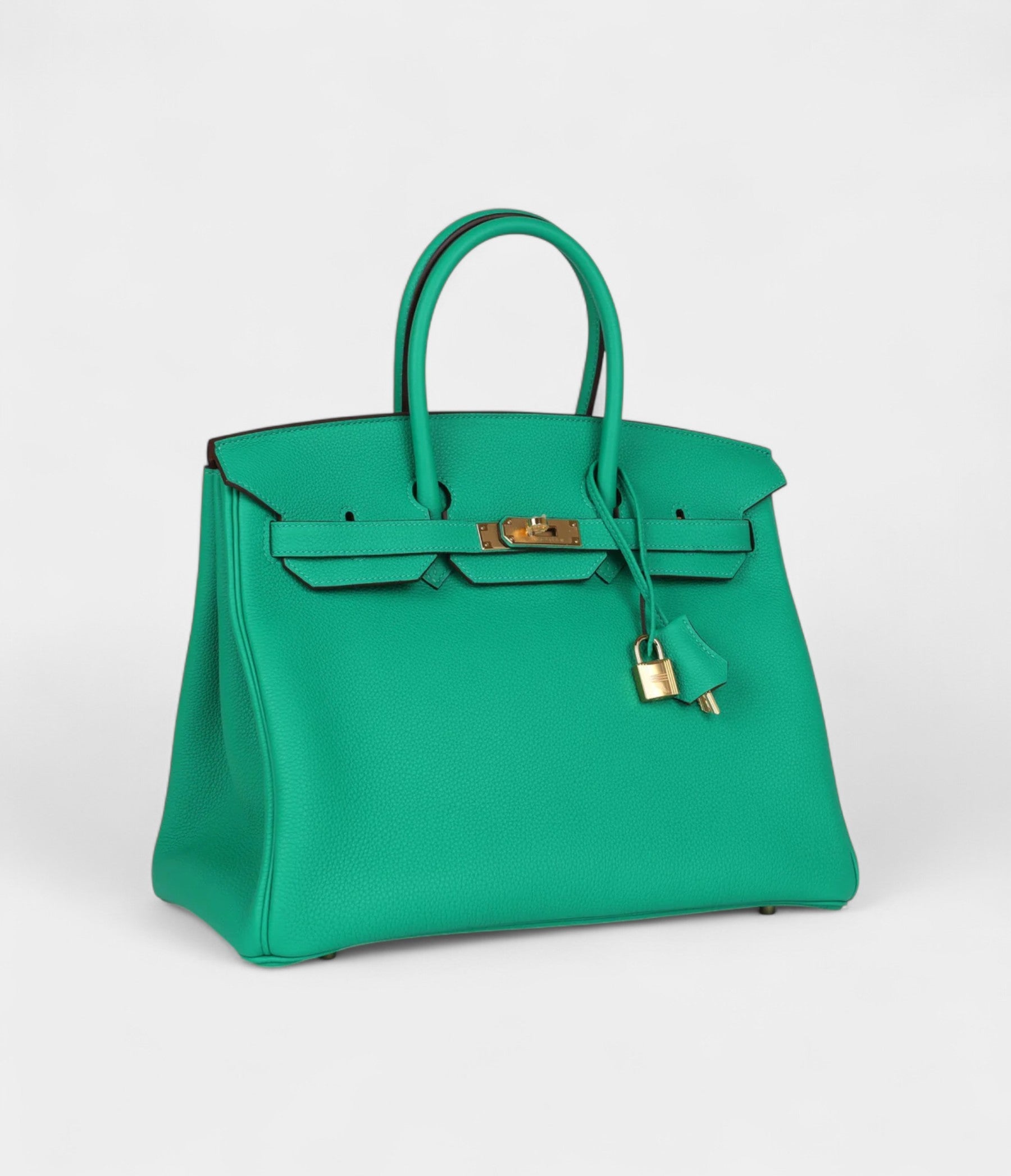 HMSpecial Order (HSS) BK 35 Menthe Verso Togo Gold Hardware