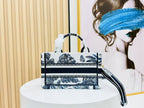 Dior Book Tote 21 cm Blue White Canvas