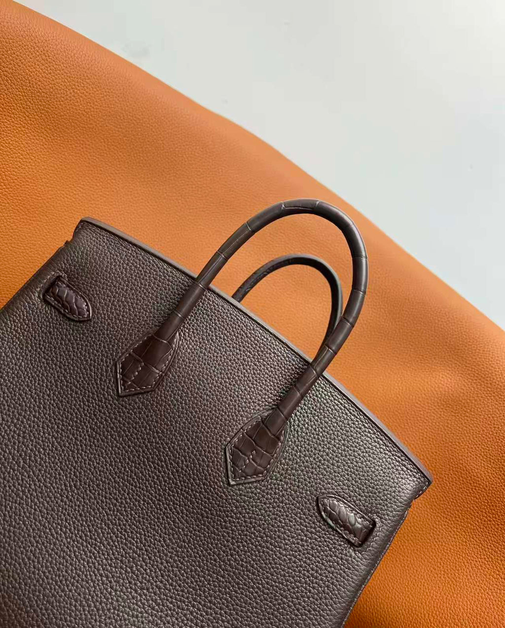 HM BIRKIN 25CM Dark Taupe CROCODILE AND TOGO LEATHER SILVER HARDWARE