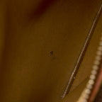 LO-LV bags 14382