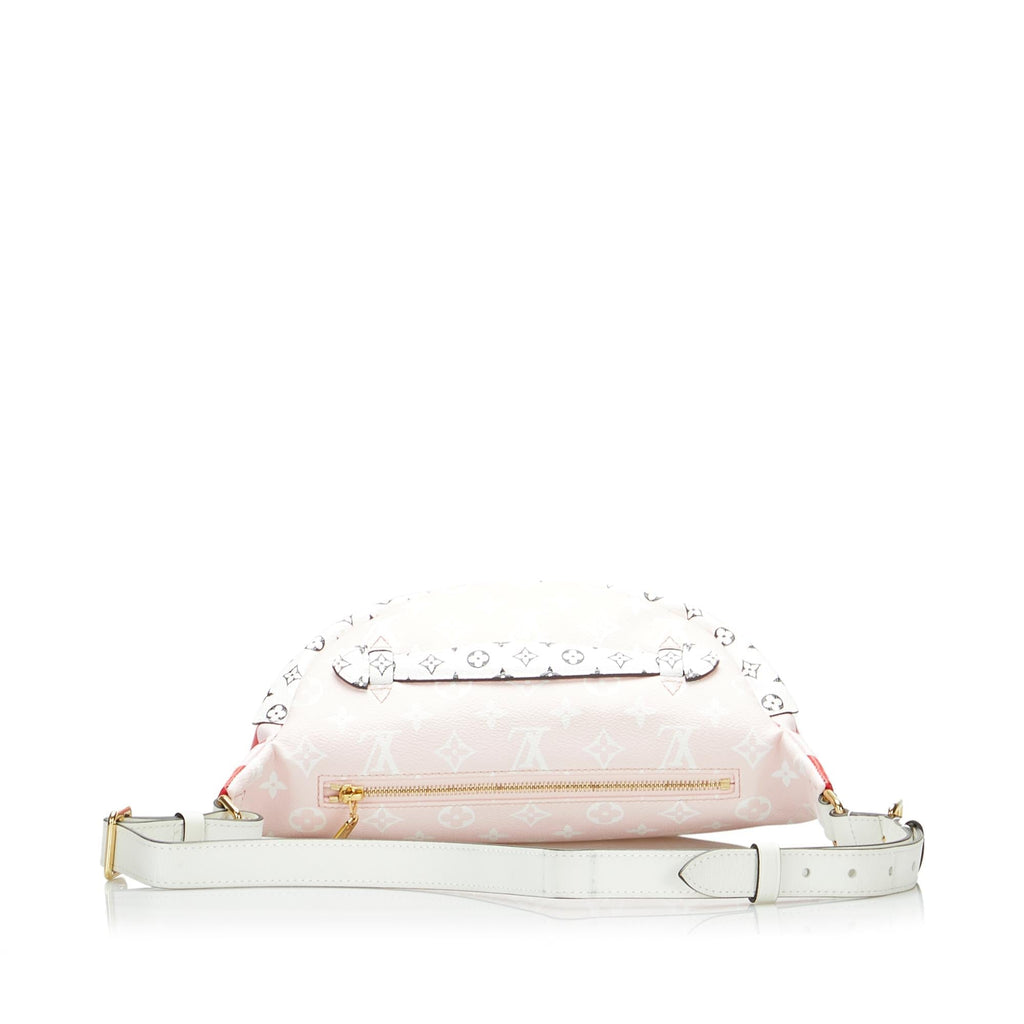 LO-LV bags 11479
