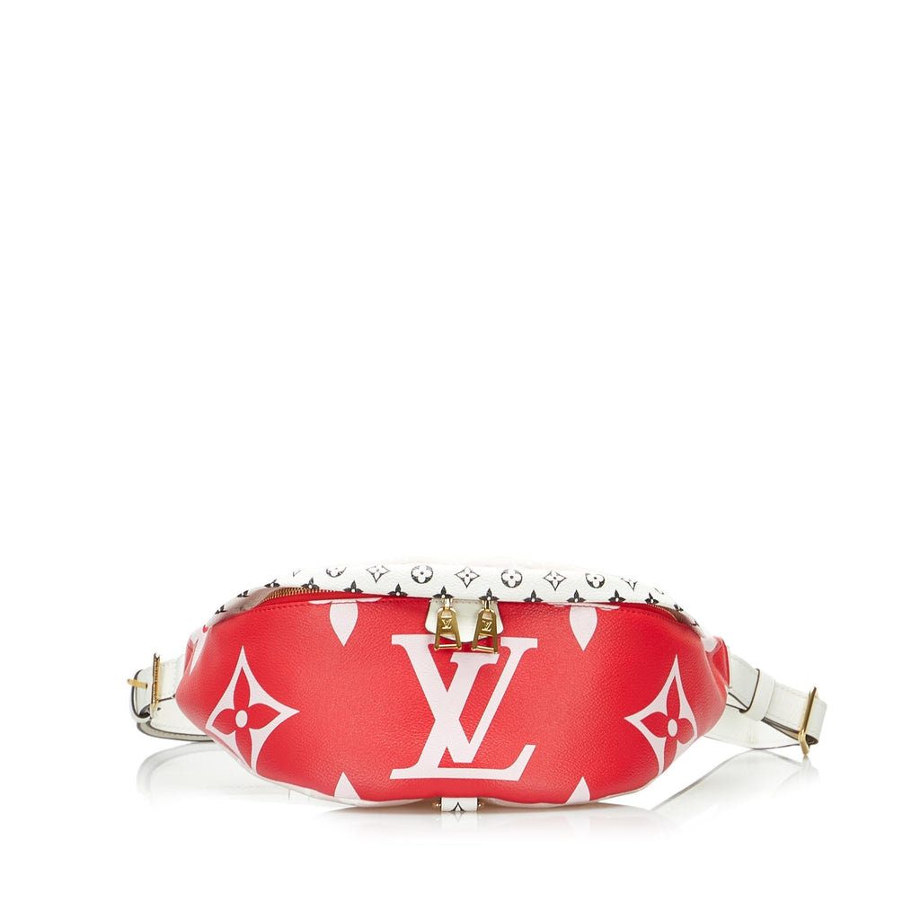 LO-LV bags 11479