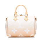 LO-LV bags 13531