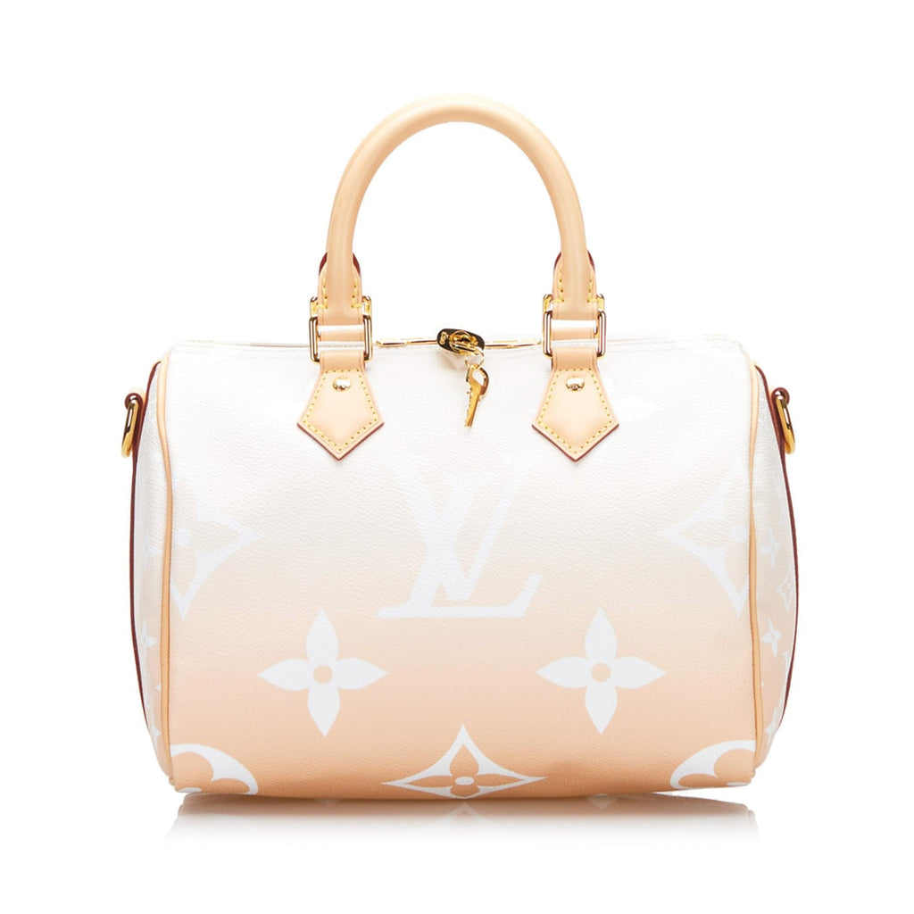 LO-LV bags 13531