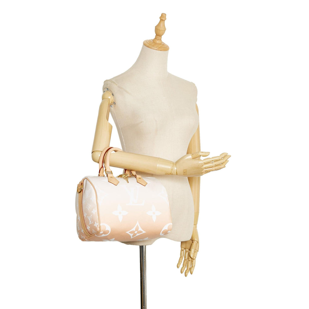 LO-LV bags 13531