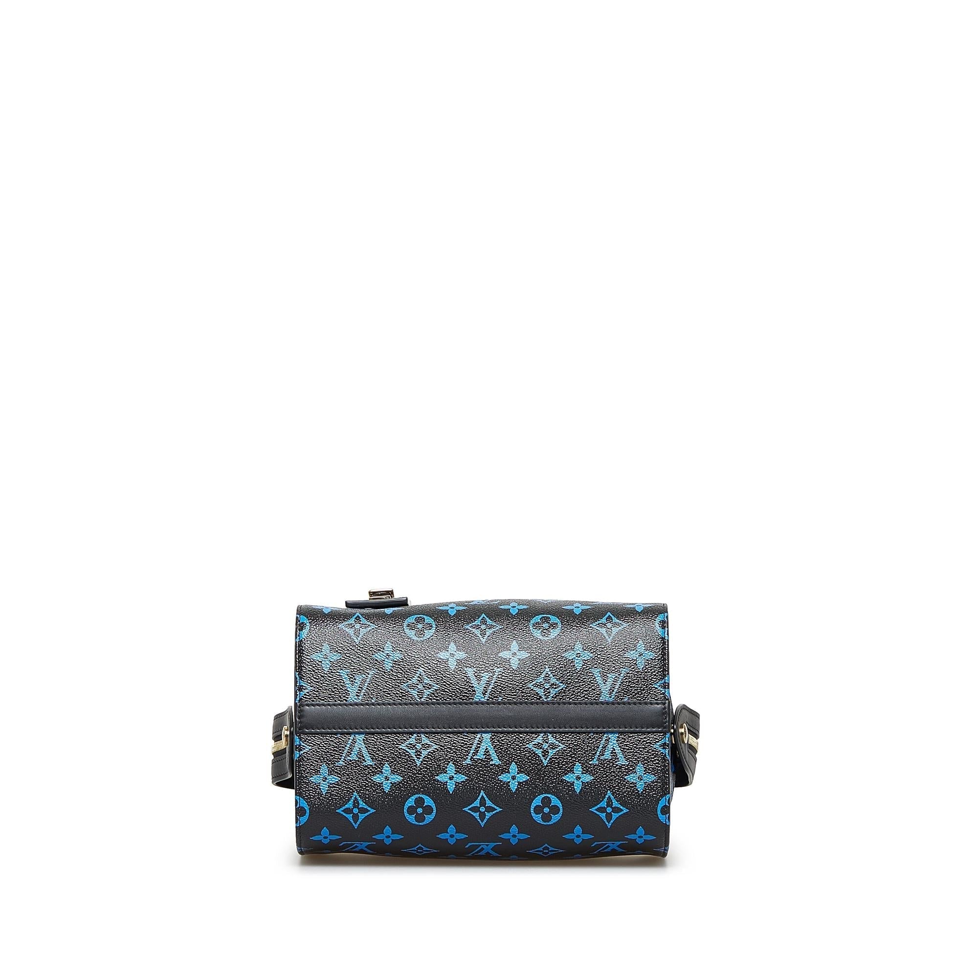 LO-LV bags 14963