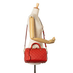LO-LV bags 4884