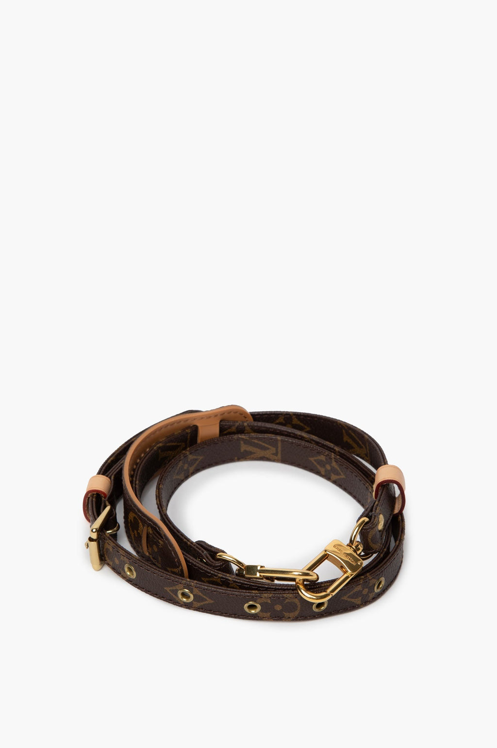 Bag Strap