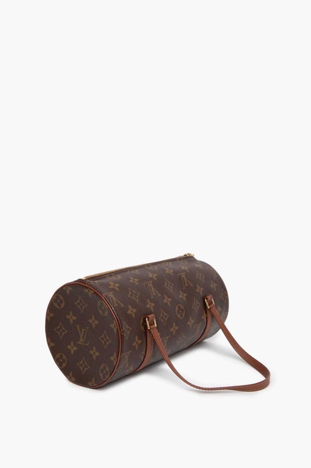 Papillon