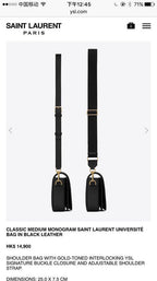 BB - YSL Bag - 3601