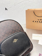 LO - CCH Bags - 291
