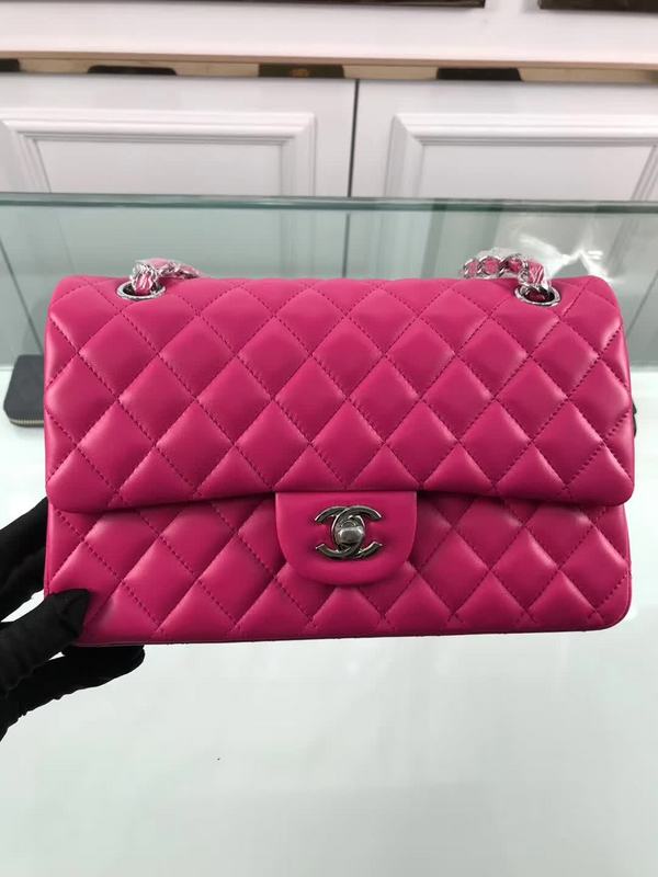 LO - CHL  BAGS FOR WOMEN - FASHION LUXURY BAGS - 1113