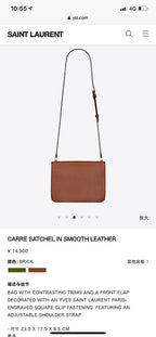 BB - YSL Bag - 3785