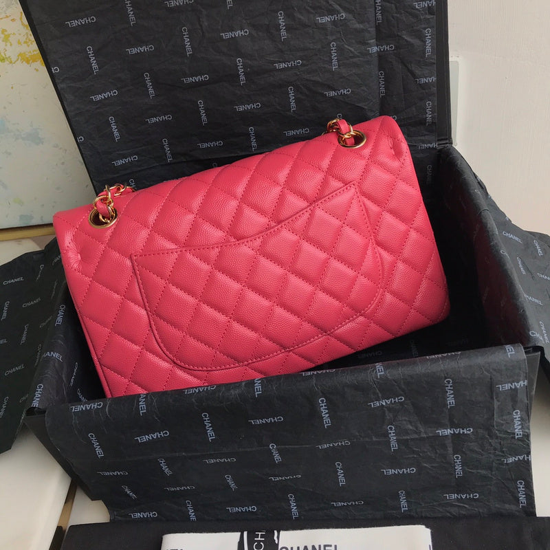 LO - CHL  BAGS FOR WOMEN - FASHION LUXURY BAGS -2219