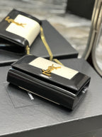 BB - YSL Bag - 1954