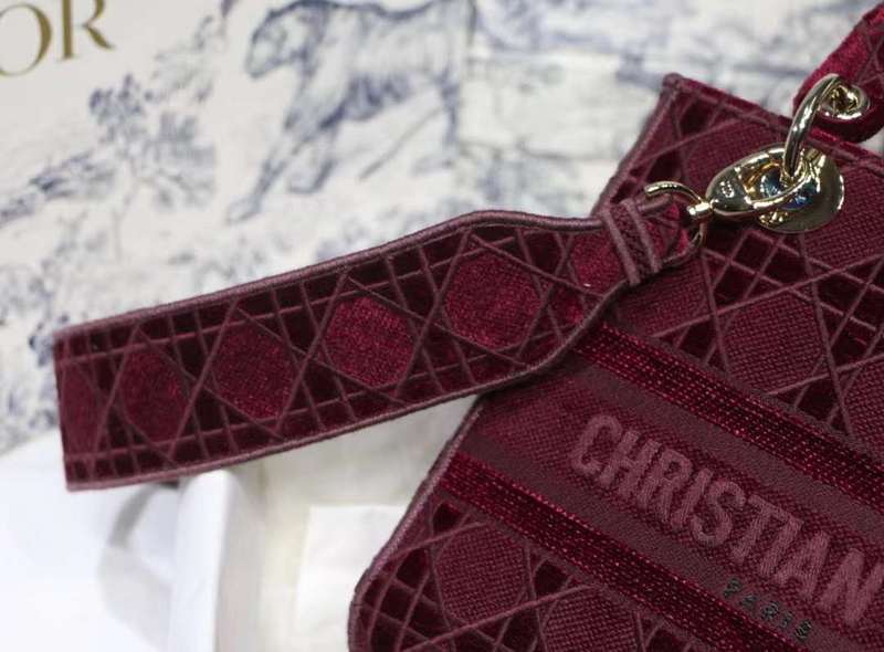 LO - DYOR   BAGS FOR WOMEN - FASHION LUXURY BAGS 491
