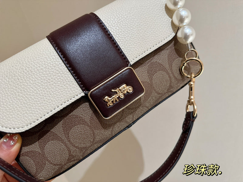LO - CCH Bags - 250