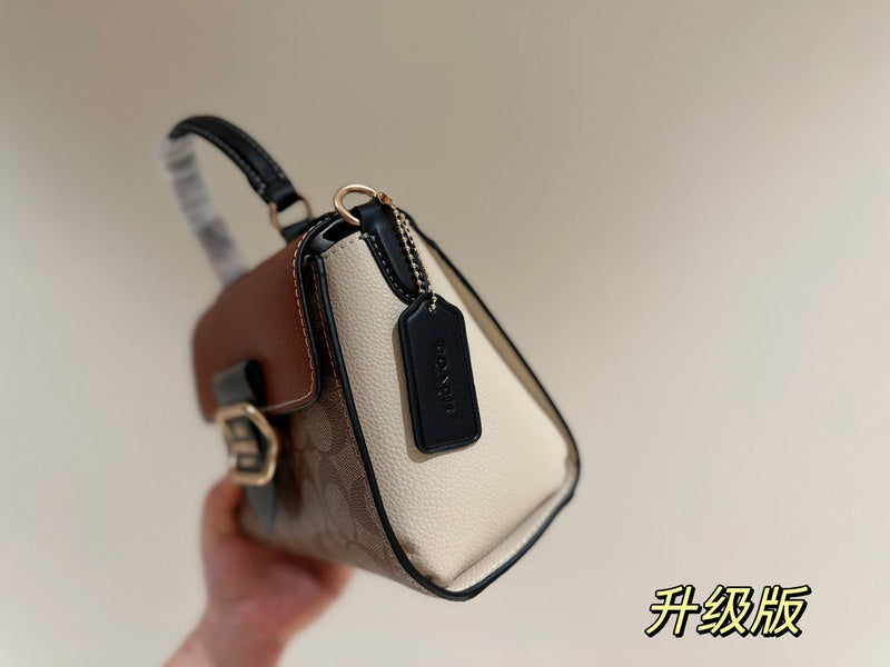 LO - CCH Bags - 401
