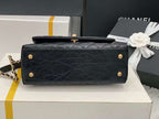 LO - CHL  BAGS FOR WOMEN - FASHION LUXURY BAGS - 439
