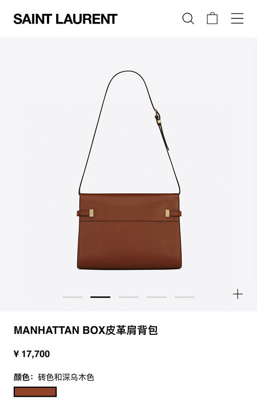 BB - YSL Bag - 3742