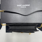 BB - YSL Bag - 2013