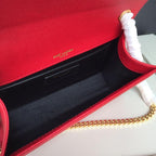 BB - YSL Bag - 2843