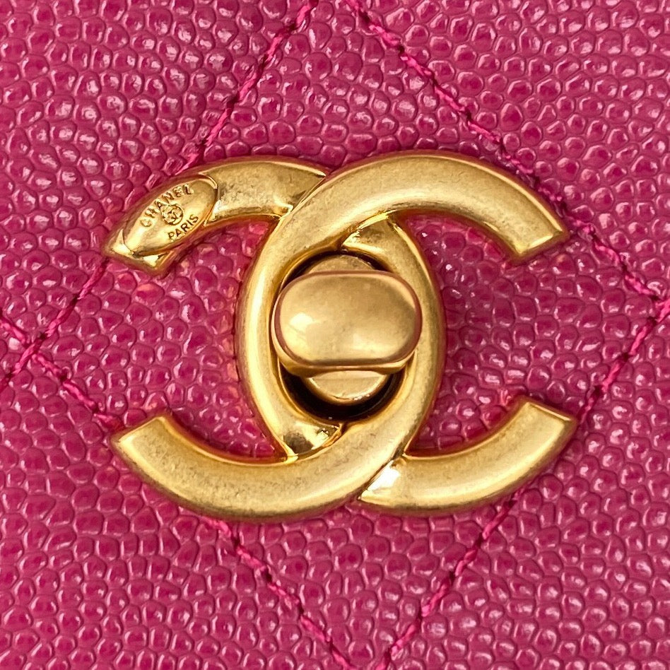 CHL - Small Flap Bag Gold Hardware Plum For Women Handbags, Shoulder Bags 7.5in/19LO AP2840