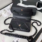 LO - CHL  BAGS FOR WOMEN - FASHION LUXURY BAGS -2010