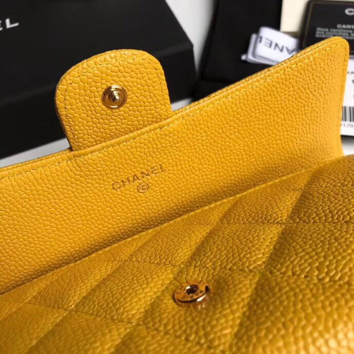 LO - CHL  BAGS FOR WOMEN - FASHION LUXURY BAGS - 663