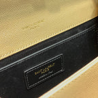 BB - YSL Bag - 2020
