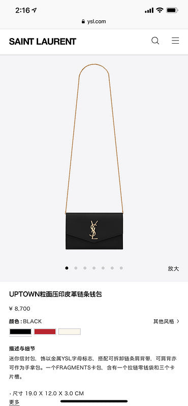 BB - YSL Bag - 3701