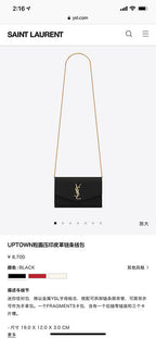 BB - YSL Bag - 3701