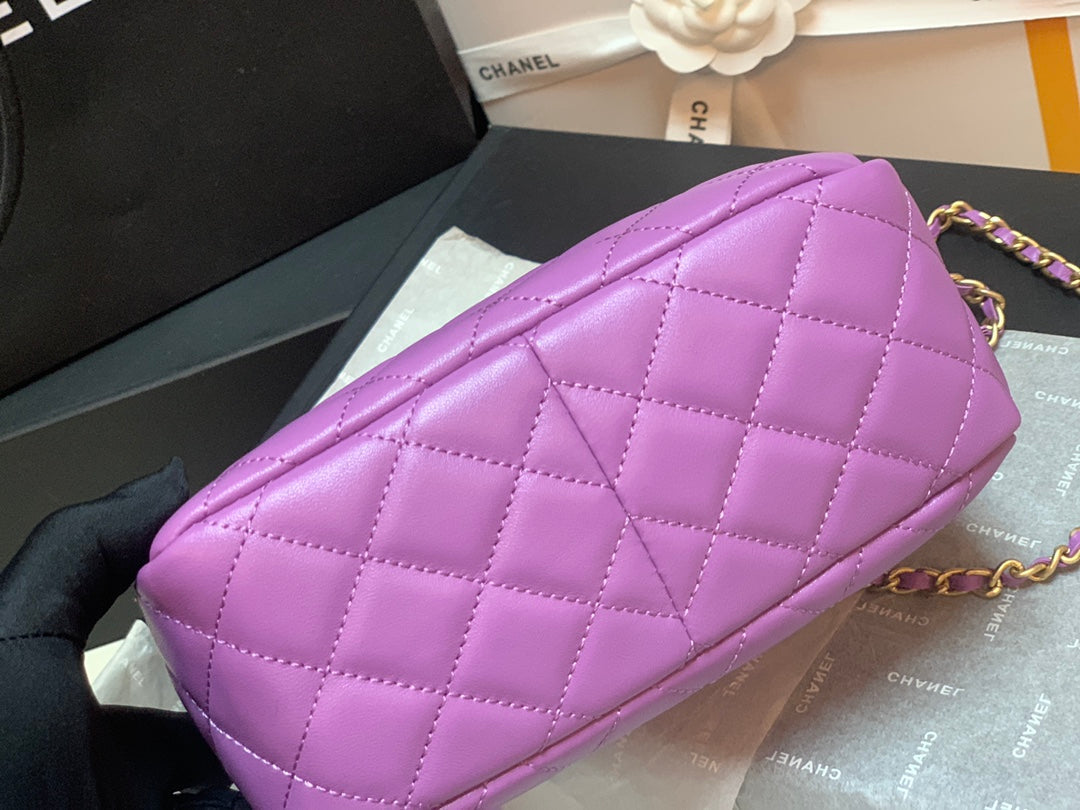 CHL - Hobo Handbag Purple Bag For Women 16LO/6in