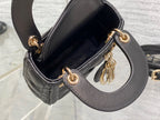 LO - CHL Bags - 2166