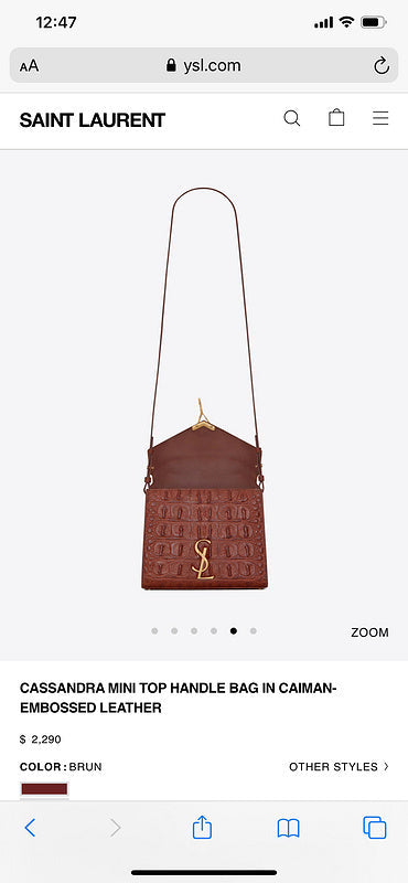 BB - YSL Bag - 3747