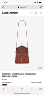 BB - YSL Bag - 3747
