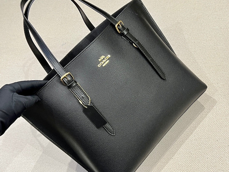 LO - CCH Bags - 369