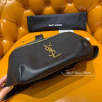 BB - YSL Bag - 3845