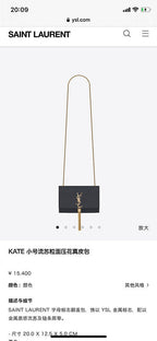 BB - YSL Bag - 3664