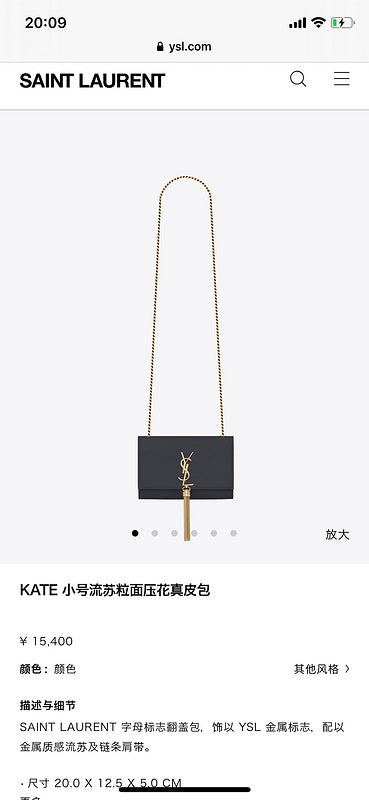 BB - YSL Bag - 3664