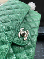 LO - CHL  BAGS FOR WOMEN - FASHION LUXURY BAGS -1858